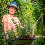 Mergelhuisje Anno 1799 * 法尔肯堡