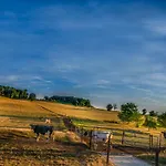 度假居 Mergelhuisje Anno 1799 *