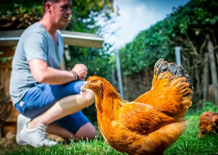 Mergelhuisje Anno 1799 *