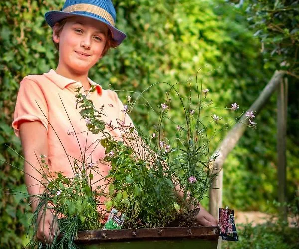 Mergelhuisje Anno 1799 * Валкенбург