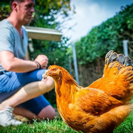 Mergelhuisje Anno 1799 *