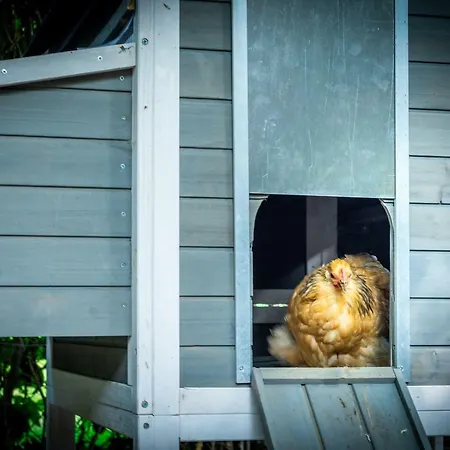 Mergelhuisje Anno 1799 Hébergement de vacances *