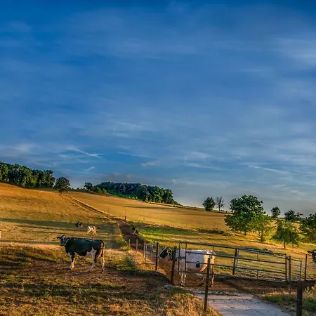 Prázdninový dům Mergelhuisje Anno 1799 *