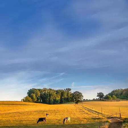 Hébergement de vacances Mergelhuisje Anno 1799 Valkenburg aan de Geul