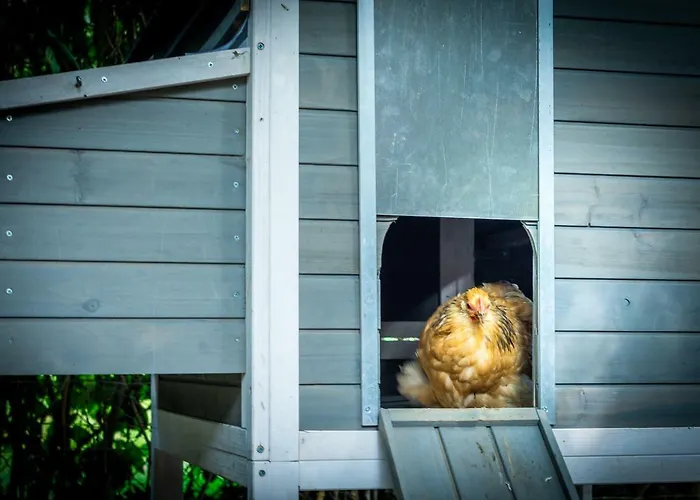 Mergelhuisje Anno 1799 度假居 *