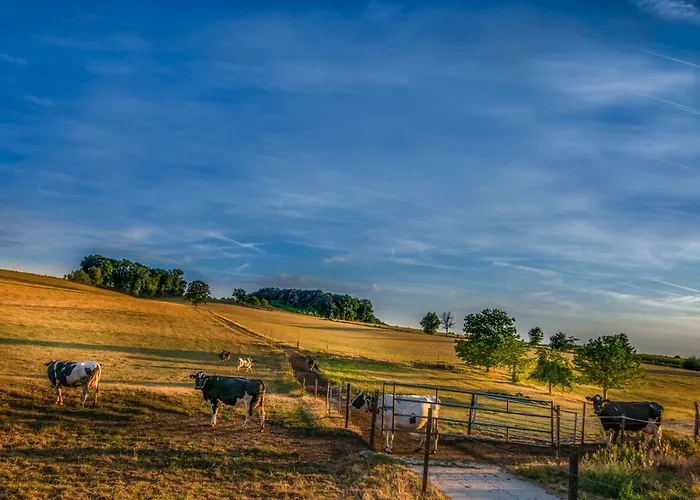 بيت للعطل Mergelhuisje Anno 1799 *